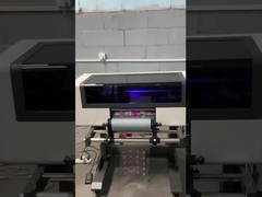 Stampante mobile UV degli autoadesivi della stampatrice della cassa della stampante TX800 di DTF